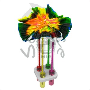 뉴 모세관 현상 색깔 물 꽃 만들기(2인용)